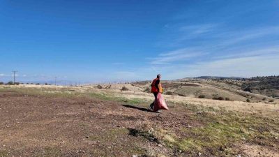Elazığ Belediyesi, soğuk kış günleri yaklaşırken yiyecek bulmakta zorlanan sokak