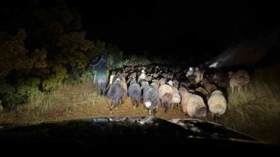 Elazığ’ın Karasaz köyünde dağlık alanda mahsur kalan çoban ve beraberindeki