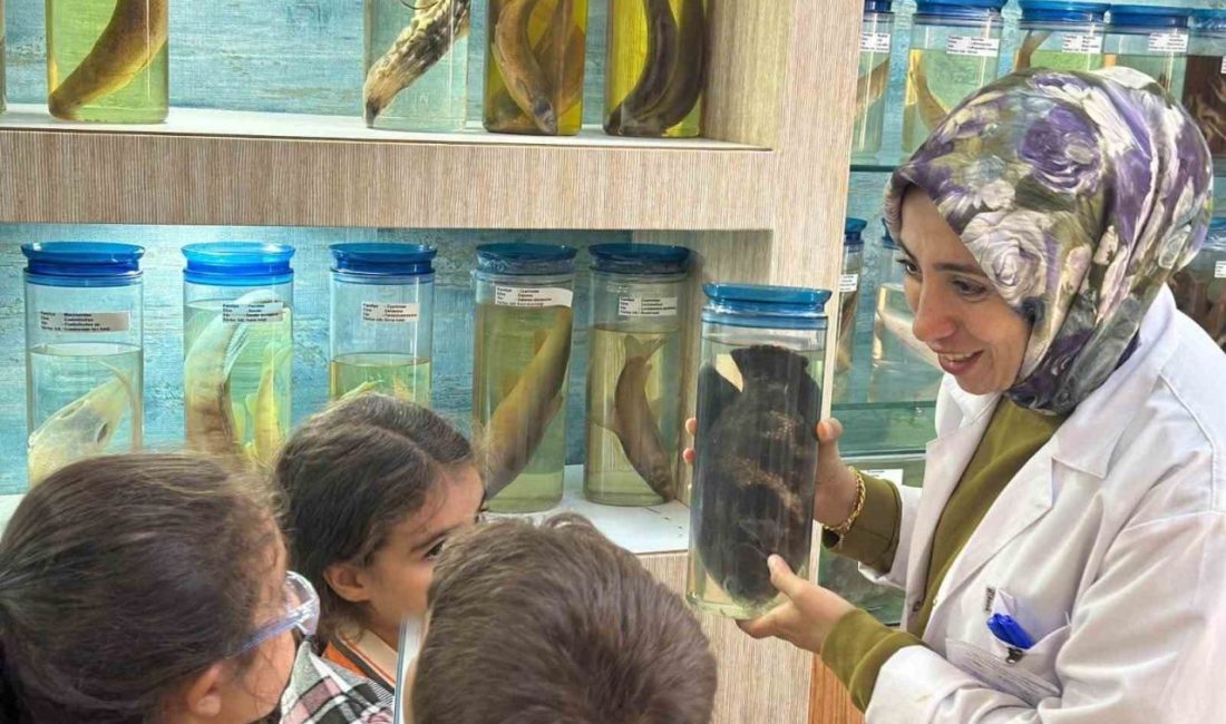 Elazığ’da balık müzesi ve akvaryum ünitesini gezen ilkokul öğrencileri, balıkları