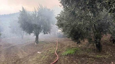 Balıkesir’in Erdek ilçesinde zeytinlik içerisinde bulunan tek katlı müstakil evde
