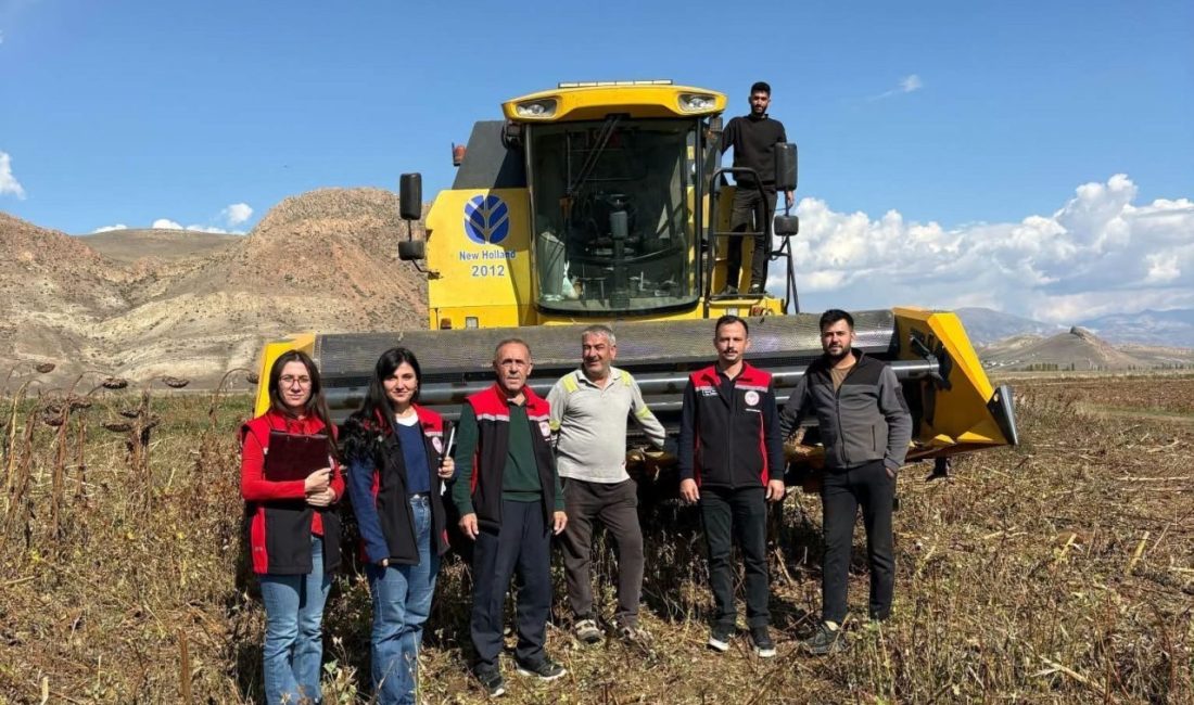 Erzincan’ın Çayırlı ilçesinde devam eden ayçiçeği hasadında, ürün kayıplarının önüne