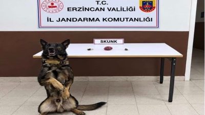 Erzincan’da jandarma ekiplerince düzenlenen iki ayrı uyuşturucu operasyonunda 13 gram