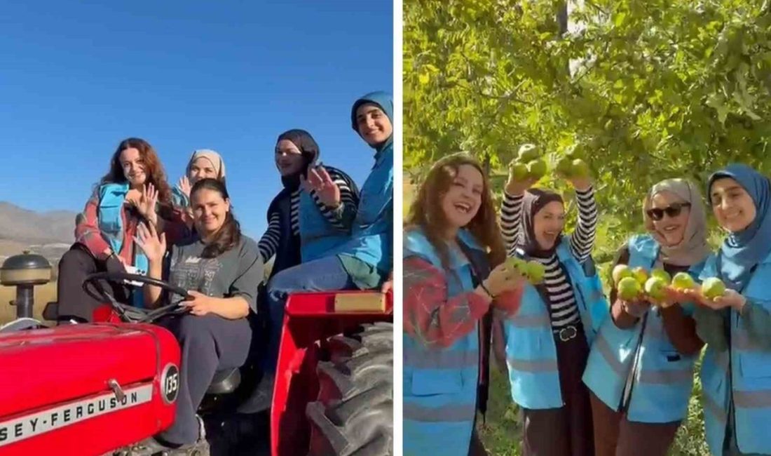 Erzincan Kız Öğrenci Yurdunda kalan öğrenciler, Üzümlü ilçesinde düzenlenen etkinlikte