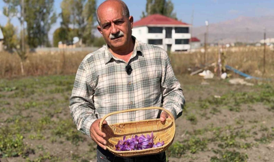 Hakkari’nin Yüksekova ilçesinde uzun yıllar esnaflık yaptıktan sonra mesleğini bırakarak