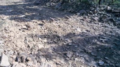 Tekirdağ’ın doğal güzellikleriyle öne çıkan Ganos Dağları’nda yaşayan keklik sürüsü,