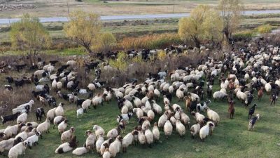 Van ve Bitlis’in serin yaylalarından havaların soğumasıyla birlikte ayrılan göçerler,