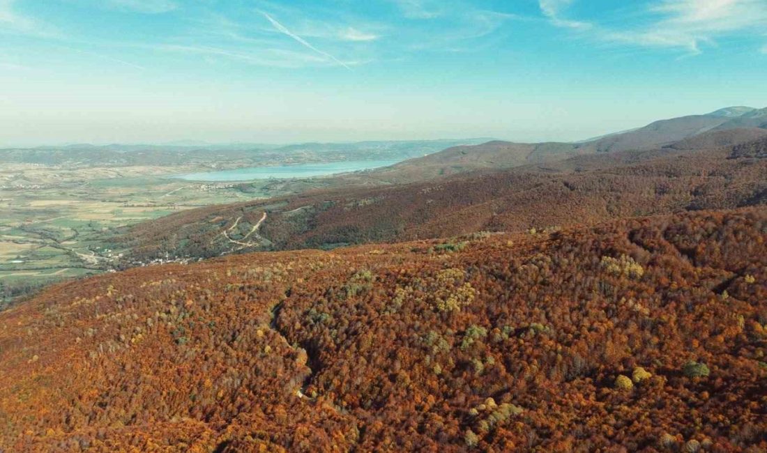 Samsun’un Ladik ilçesinde Akdağ’ın sonbaharla sarı, kahverengi ve yeşilin tonlarına