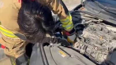 Hatay’da itfaiye ekipleri; Arsuz, Kırıkhan, Reyhanlı, Antakya ve İskenderun ilçelerinde