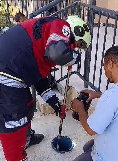 Hatay’da apartmanın önünde bulunan havalandırma borusuna düşen yavru kedi, miyavlama