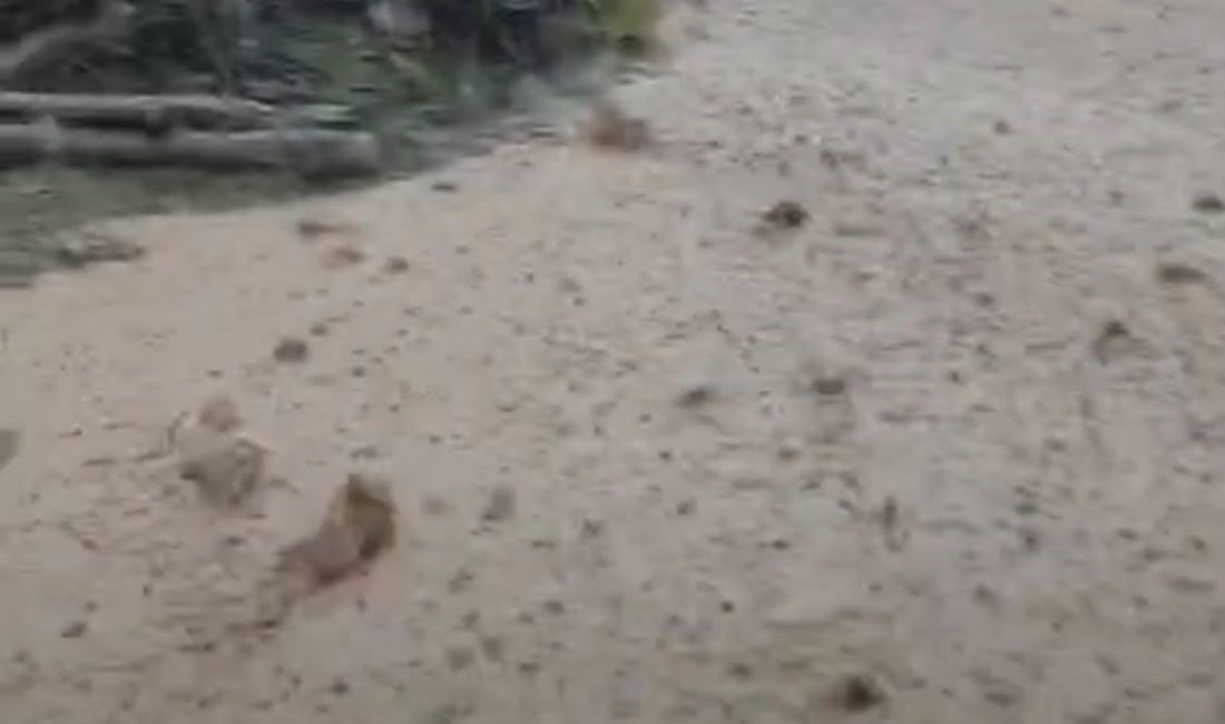 Malatya’nın Hekimhan ilçesine etkili olan sağanak yağış, kırsal bölgelerde taşkınlara