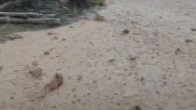 Malatya’nın Hekimhan ilçesine etkili olan sağanak yağış, kırsal bölgelerde taşkınlara