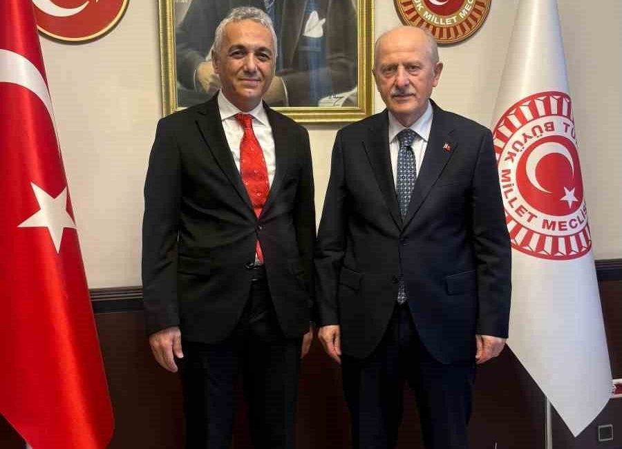 Hekim ve Diğer Sağlık Çalışanları Kamu Sağlık ve Sosyal Hizmetler
