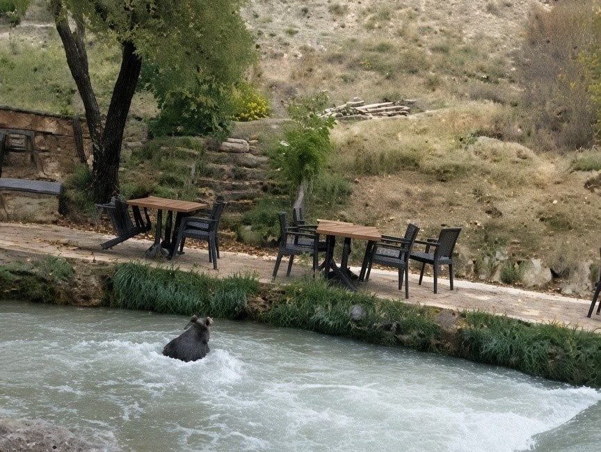 Erzincan’ın Çağlayan beldesinde bir restoranın içerisine giren yavru ayı, çalışanları