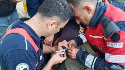 Hatay’ın İskenderun ilçesinde balık misinasına dolanarak ağaçta mahsur kalan güvercin,