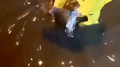 Hatay’ın İskenderun ilçesi etkili olan kuvvetli yağışın ardından Mete Aslan
