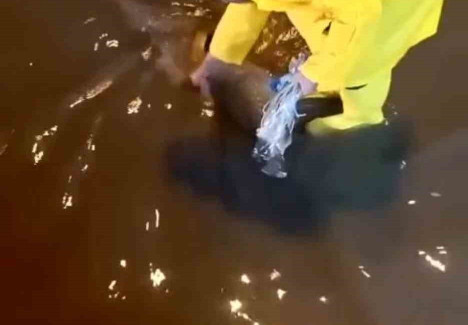 Hatay’ın İskenderun ilçesi etkili olan kuvvetli yağışın ardından Mete Aslan