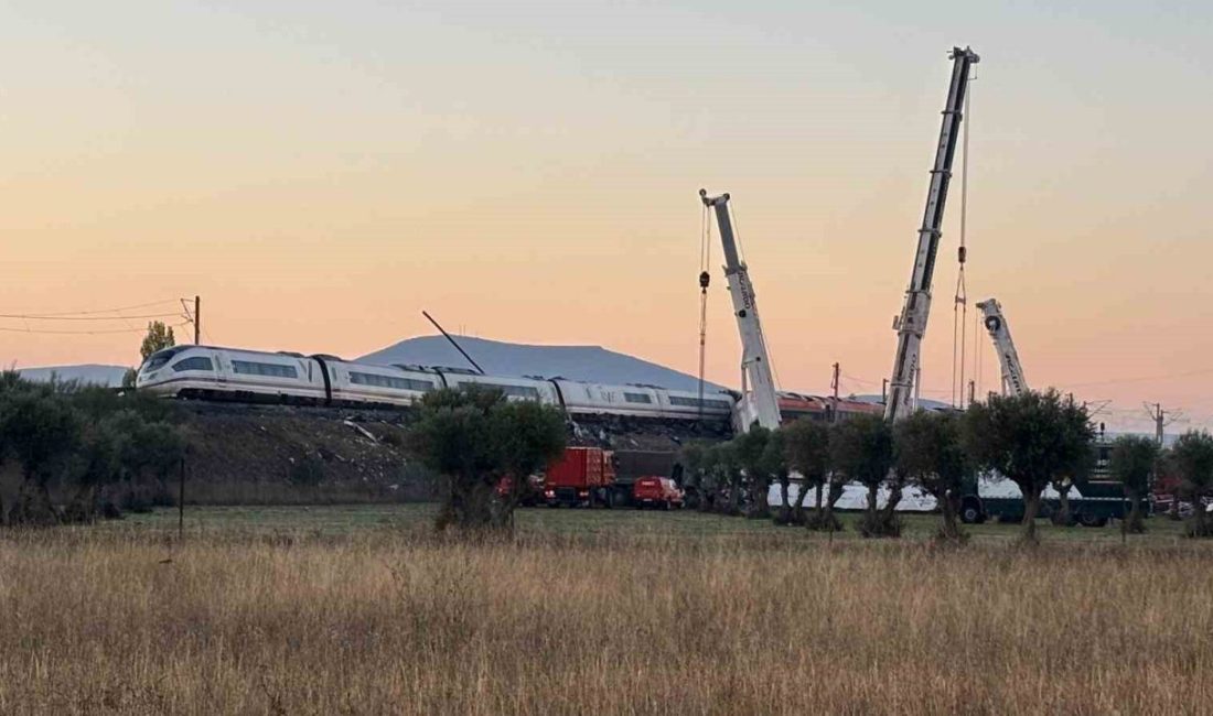Endülüs seferini yapan iki yüksek hızlı trenin karıştığı kazada hayatını