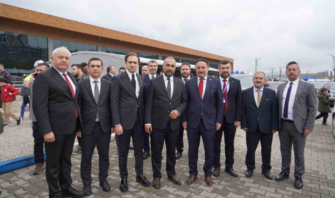 İstanbul Milletvekili ve Türkiye-Avrupa Birliği Karma Parlamento Komisyonu Türk Grubu