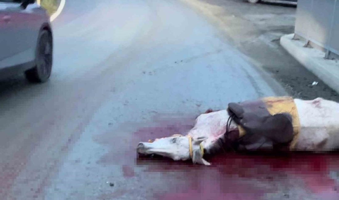 İstanbul’un Arnavutköy ilçesinde virajda kontrolden çıkan otomobil, karşı yönden gelen