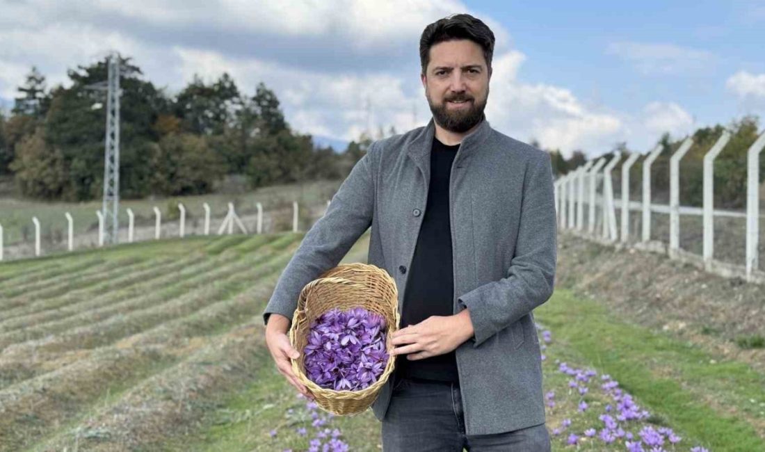 Karabük’ün Safranbolu ilçesinde 5 yıl önce İl Tarım ve Orman