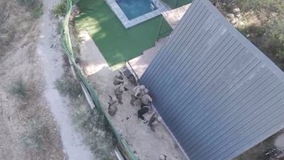 İzmir’in Torbalı ilçesinde güvenlik güçleri tarafından düzenlenen ortak operasyonda, çeşitli