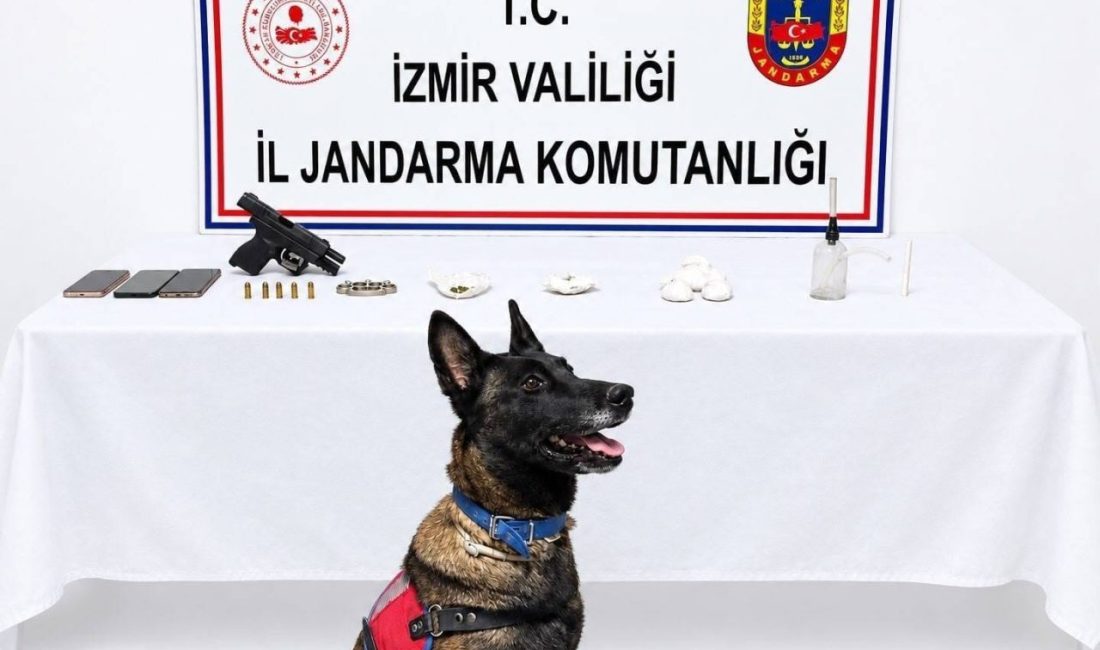 İzmir’in Urla ilçesinde jandarmanın düzenlediği uyuşturucu operasyonunda yakalanan 2 kişinin