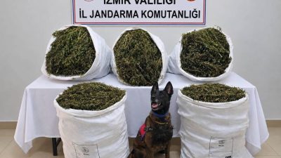 İzmir’in Tire ilçesinde jandarma ekipleri tarafından düzenlenen uyuşturucu operasyonunda 54