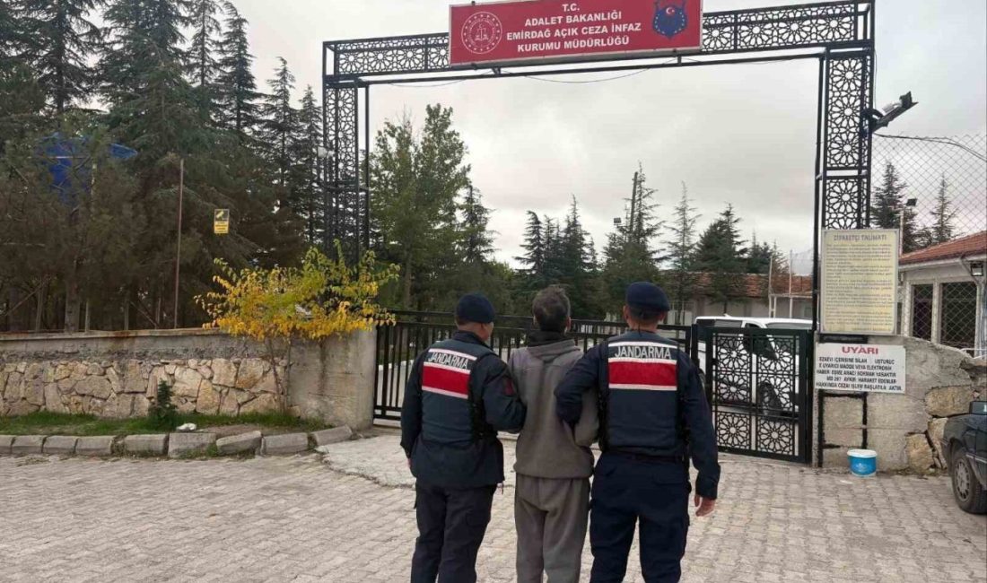 Afyonkarahisar’da jandarma tarafından son bir hafta içerisinde gerçekleştirilen denetimlerden çeşitli