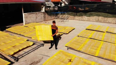 Kahramanmaraş’a özgü tescilli Maraş tarhanasında 145 işletmede gerçekleştirilen üretimde yaklaşık