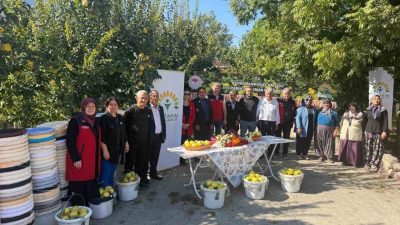 Kahramanmaraş’ın Onikişubat ilçesinde 11 ayva üreticisine, hasat sürecinde ürün kayıplarını