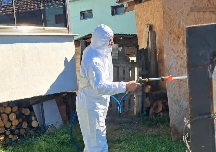 Düzce’nin Kaynaşlı ilçesinde tarımsal üretimi ve özellikle fındık bahçelerini tehdit