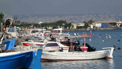 Samsun Bölgesi Su Ürünleri Kooperatifleri Birliği Başkanı Atıf Malkoç, bolluk