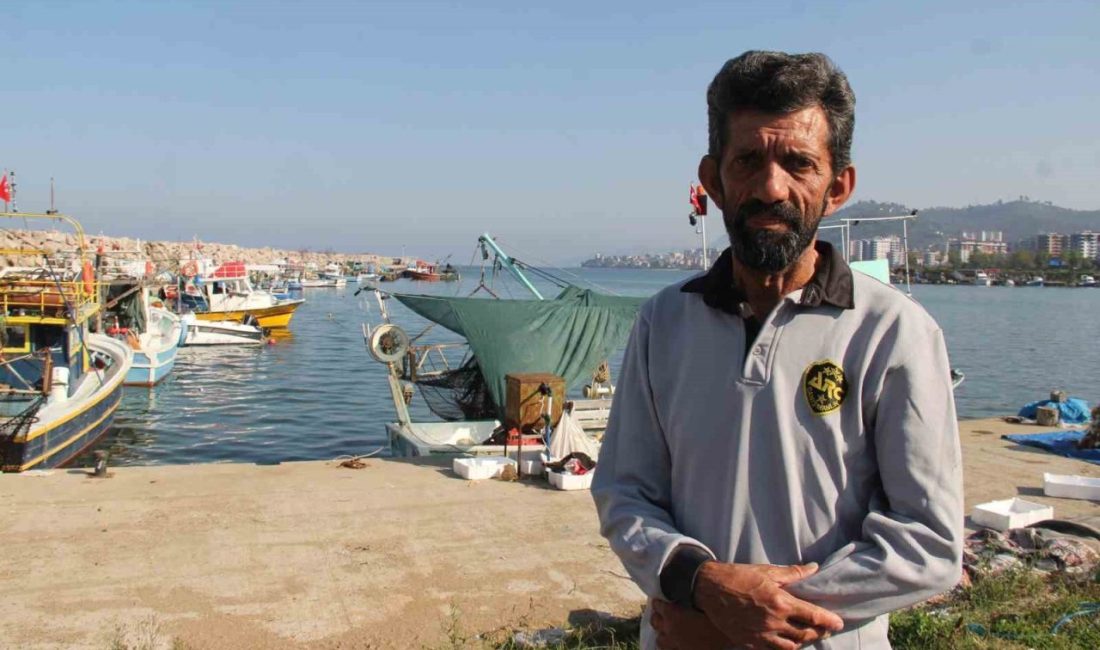 Karadeniz’de bu sezon yaşanan palamut bolluğu balıkçılara bereket getirirken, hamsi