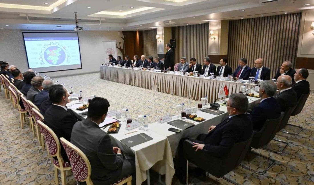 Denizli’nin turizm potansiyelini güçlendirmek, Karahayıt’ın doğalgaz ihtiyacını karşılamak ve Pamukkale’nin