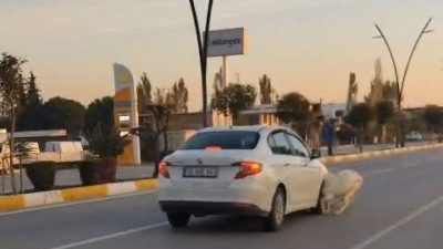 Manisa’nın Akhisar ilçesinde karayolunda seyir halindeki otomobilin yola çıkan koyun