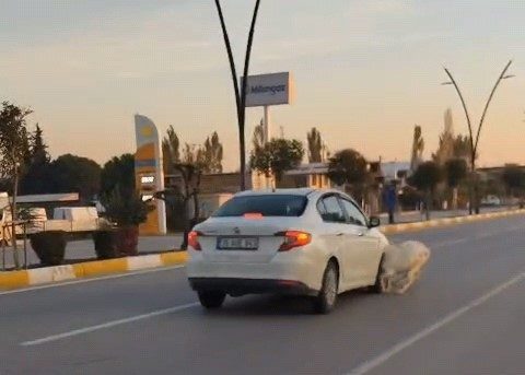 Manisa’nın Akhisar ilçesinde karayolunda seyir halindeki otomobilin yola çıkan koyun