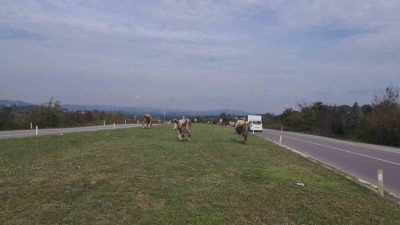 Zonguldak’ın Çaycuma ilçesi ile Perşembe beldesini birbirine bağlayan kara yolunda