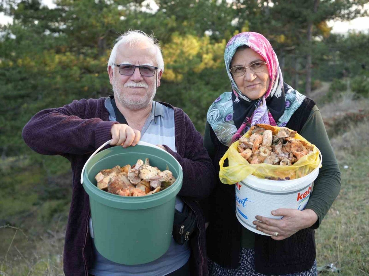 Kastamonu’da yağışların ardından ormanlarda mantar bolluğu yaşanıyor. Vatandaşlar özellikle “kanlıca”