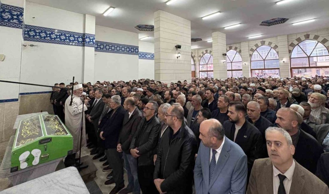 Kastamonu’nun Tosya ilçesinde bir şahıs tarafından başına odunla vurularak öldürülen