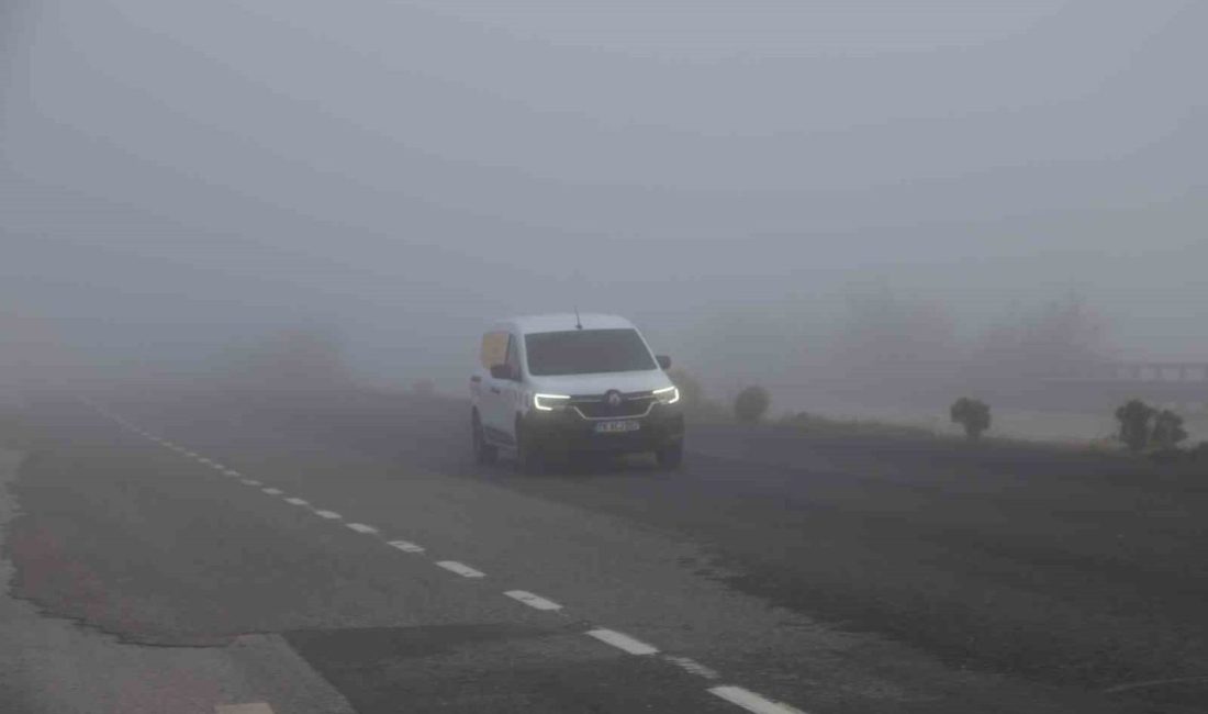 Kastamonu’da etkili olan yoğun sis sebebiyle görüş mesafesi 50 metreye