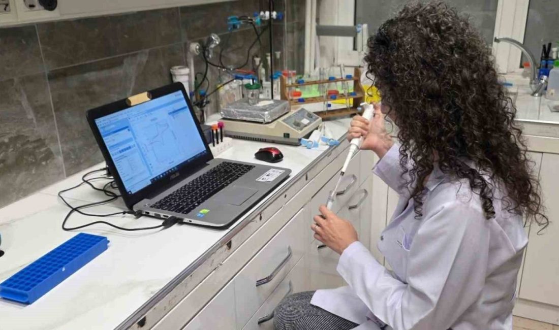 Karabük Üniversitesi (KBÜ) akademisyeni Doç. Dr. İrem Okman Koçoğlu, tarımsal