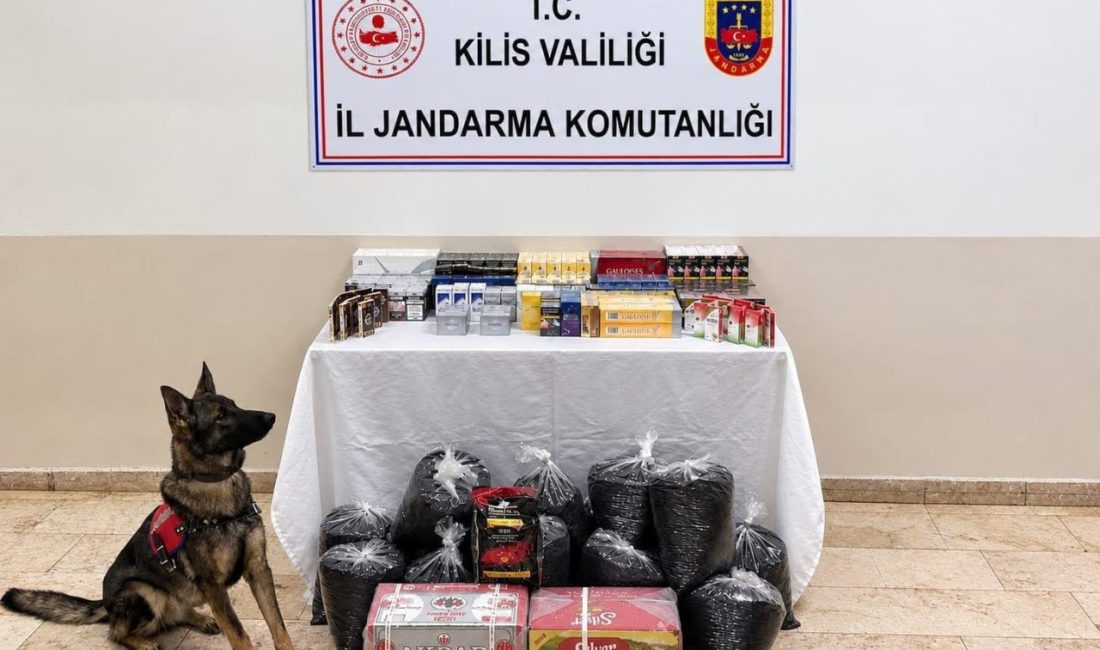 Kilis’te jandarma ekiplerince bir ev ve iş yerinde yapılan aramada