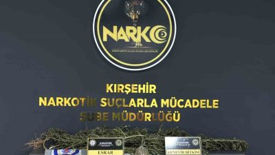 Kırşehir’in Çiçekdağı ilçesinde düzenlenen uyuşturucu operasyonunda gözaltına alınan 2 şüpheliden
