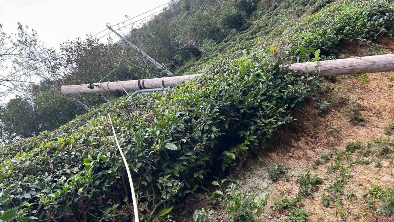 Artvin’in Hopa, Borçka ve Kemalpaşa ilçelerinde etkili olan kuvvetli rüzgâr