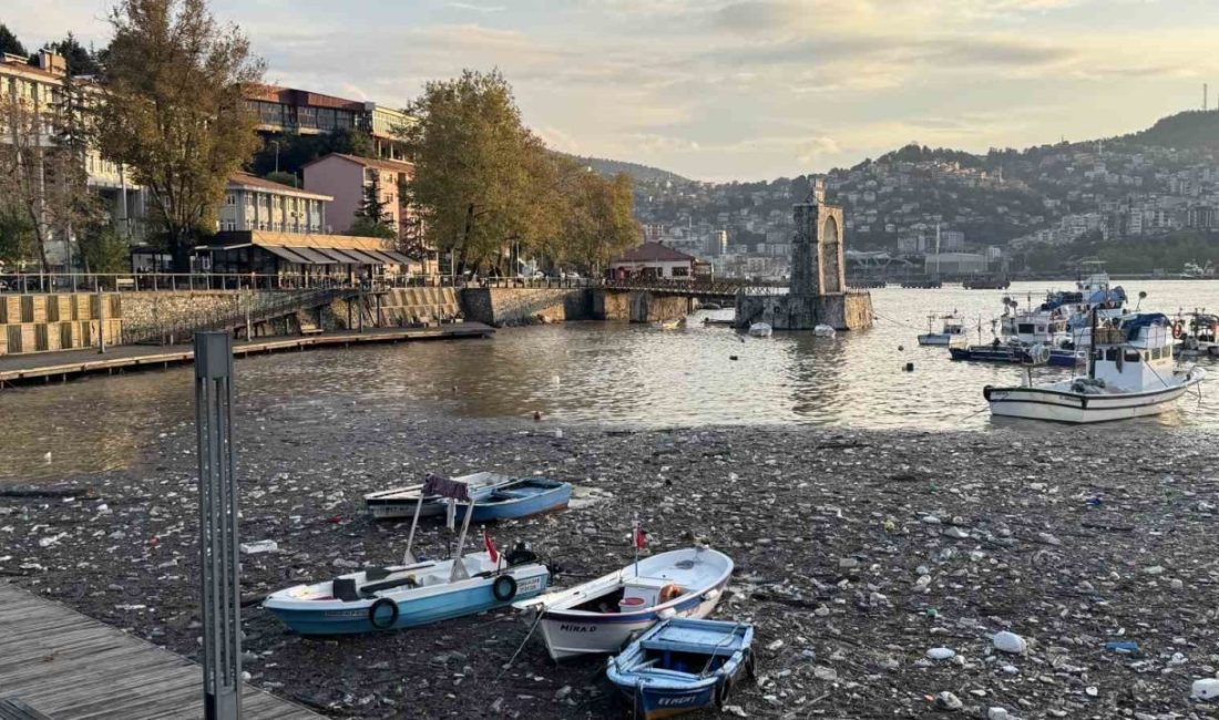 Zonguldak’ta iki gündür etkili olan sağanak yağışların ardından derelerden sürüklenen