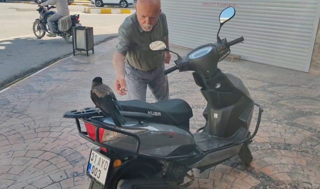 Hatay’da mahallelinin dostu olan ve mizah amaçlı çekilen görüntüleriyle ilgi