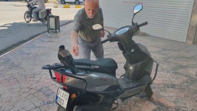 Hatay’da mahallelinin dostu olan ve mizah amaçlı çekilen görüntüleriyle ilgi