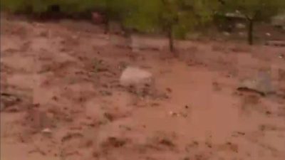 Malatya’da etkili olan sağanak yağış derelerin taşmasına neden oldu. Doğanşehir