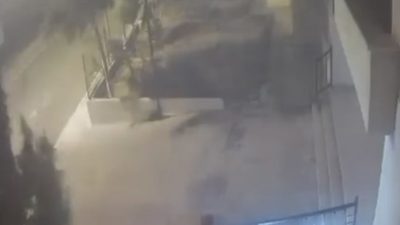 Mardin’in Nusaybin ilçesinde şiddetli rüzgar nedeniyle ağaç yola devrildi, motosiklet