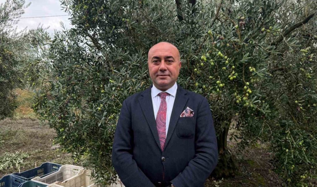 Marmarabirlik Yönetim Kurulu Başkanı Ali Yıldız, Türkiye genelinde sofralık ve
